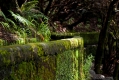 430_Madera_Levada das 25 Fontes